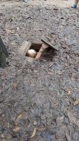 Cu Chi Tunnel