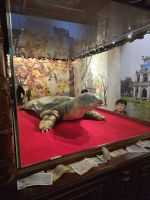 Schildkröte verkörpert Legende &ndash; &copy; Jürgen Müller (Eberhardt TRAVEL)