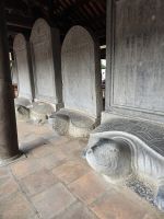 Jahres Schildkröten &ndash; &copy; Jürgen Müller (Eberhardt TRAVEL)