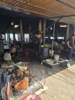 Eierproduktion für Cafe &ndash; &copy; Jürgen Müller (Eberhardt TRAVEL)