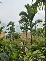 Spaziergang im Tal &ndash; &copy; Jürgen Müller (Eberhardt TRAVEL)