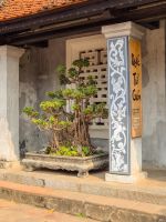 onsai-Baum im Innenbereich des Literaturtempels in Hanoi, Vietnam &ndash; &copy; Marie Dittrich (Eberhardt TRAVEL)