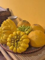 Buddhas Hand Zitrone und weitere Zitrusfrüchte in einem traditionellen Kaufmannshaus in Hanoi, Vietnam &ndash; &copy; Marie Dittrich (Eberhardt TRAVEL)