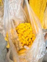 Seidenraupen bei der Produktion von Seide in einem Handwerksbetrieb in der Region Mai Chau, Vietnam &ndash; &copy; Marie Dittrich (Eberhardt TRAVEL)