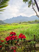 Landschaft mit Reisfeldern und Bergkulisse in der Region Mai Chau, Vietnam &ndash; &copy; Marie Dittrich (Eberhardt TRAVEL)