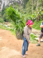 Einheimische Frau mit Tragekorb entlang des Wanderwegs nach Kho Muong, Vietnam &ndash; &copy; Marie Dittrich (Eberhardt TRAVEL)