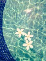 Blumen im Pool im Prince Angkor Hotel & Spa, Kambodscha &ndash; &copy; Marie Dittrich (Eberhardt TRAVEL)