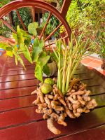 Dekoration im Prince Angkor Hotel & Spa, Kambodscha &ndash; &copy; Marie Dittrich (Eberhardt TRAVEL)