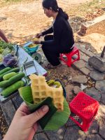 Fahrradtour in Siem Reap, Kambodscha &ndash; &copy; Marie Dittrich (Eberhardt TRAVEL)