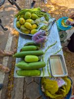 Fahrradtour in Siem Reap, Kambodscha &ndash; &copy; Marie Dittrich (Eberhardt TRAVEL)
