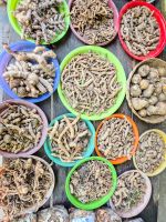 Naturmedizin, Kambodscha &ndash; &copy; Marie Dittrich (Eberhardt TRAVEL)