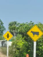 Fahrt zum Phnom-Kulen-Nationalpark, Kambodscha &ndash; &copy; Marie Dittrich (Eberhardt TRAVEL)