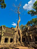Ta-Prohm-Tempel -  „Tomb Raider Tempel“, Siem Reap, Kambodscha &ndash; &copy; Marie Dittrich (Eberhardt TRAVEL)