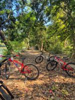 Fahrradtour in Siem Reap, Kambodscha &ndash; &copy; Marie Dittrich (Eberhardt TRAVEL)