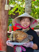 Elefantenohrfisch im Mekong Delta, Vietnam &ndash; &copy; Marie Dittrich (Eberhardt TRAVEL)