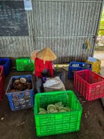 Verarbeitung von Kokosnüssen im Mekong Delta, Vietnam &ndash; &copy; Marie Dittrich (Eberhardt TRAVEL)