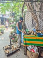 Verarbeitung von Kokosnüssen im Mekong Delta, Vietnam &ndash; &copy; Marie Dittrich (Eberhardt TRAVEL)