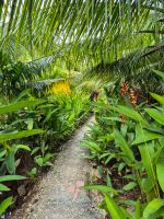Mekong Delta, Vietnam &ndash; &copy; Marie Dittrich (Eberhardt TRAVEL)