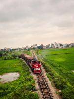 Roter Güterzug auf der Strecke durch die grünen Reisfelder bei Ninh Bình, Vietnam &ndash; &copy; Marie Dittrich (Eberhardt TRAVEL)
