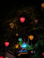 Bunte Laternen in den Bäumen bei Nacht in Ninh Binh, Vietnam &ndash; &copy; Marie Dittrich (Eberhardt TRAVEL)