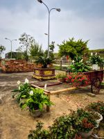 Innenhof der Zitadelle der Ho-Dynastie mit dekoriertem Blumenwagen, Vietnam &ndash; &copy; Marie Dittrich (Eberhardt TRAVEL)
