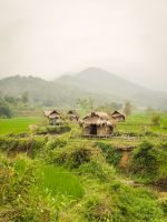 Traditionelle Stelzenhäuser inmitten von Reisfeldern in Pu Luong, Vietnam &ndash; &copy; Marie Dittrich (Eberhardt TRAVEL)