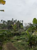 Mai Chau &ndash; &copy; Andy Nguyen (Eberhardt TRAVEL)