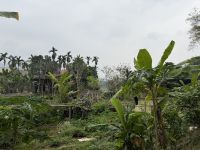 Mai Chau &ndash; &copy; Andy Nguyen (Eberhardt TRAVEL)