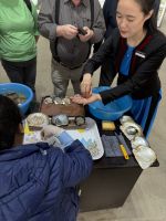 Austerperlenherstellung &ndash; &copy; Andy Nguyen (Eberhardt TRAVEL)