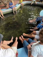 Halong Bucht Fische &ndash; &copy; Andy Nguyen (Eberhardt TRAVEL)