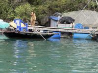 Halong Bucht &ndash; &copy; Andy Nguyen (Eberhardt TRAVEL)