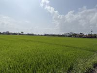 Hoi An - Landleben &ndash; &copy; Andy Nguyen (Eberhardt TRAVEL)