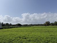 Hoi An - Landleben &ndash; &copy; Andy Nguyen (Eberhardt TRAVEL)