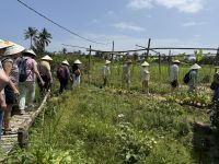 Hoi An - Landleben Gemüsegarten &ndash; &copy; Andy Nguyen (Eberhardt TRAVEL)