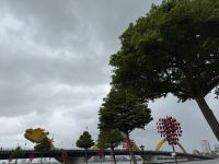 Drachenbrücke Da Nang &ndash; &copy; Andy Nguyen (Eberhardt TRAVEL)