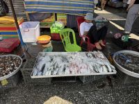 Mekong Delta &ndash; &copy; Andy Nguyen (Eberhardt TRAVEL)