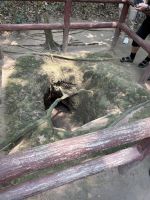 Cu Chi &ndash; &copy; Andy Nguyen (Eberhardt TRAVEL)