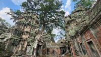 Ta Prohm - Dschungeltempel &ndash; &copy; Petra Hady (Eberhardt TRAVEL)