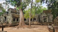 Ta Prohm - Dschungeltempel &ndash; &copy; Petra Hady (Eberhardt TRAVEL)