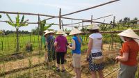 Hoi An - Kochkurs - Führung durch den Garten &ndash; &copy; Petra Hady (Eberhardt TRAVEL)