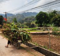 Ernte auf dem Mopes &ndash; &copy; Petra Hady (Eberhardt TRAVEL)