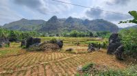 Mai Chau - Felder &ndash; &copy; Petra Hady (Eberhardt TRAVEL)