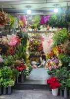 Hanoi - Blumenmarkt &ndash; &copy; Petra Hady (Eberhardt TRAVEL)
