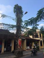 258 Hoi An.JPG