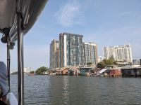266. Mekong-Delta