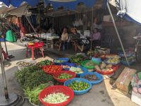279. Mekong-Delta
