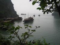 Halong - reger Dschunkenverkehr
