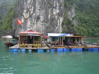 Halong - Schwimmende Dörfer