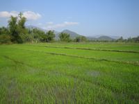 Landschaft in Mittelvietnam