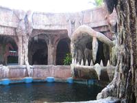 Nha Trang - Tri Nguyen-Aquarium